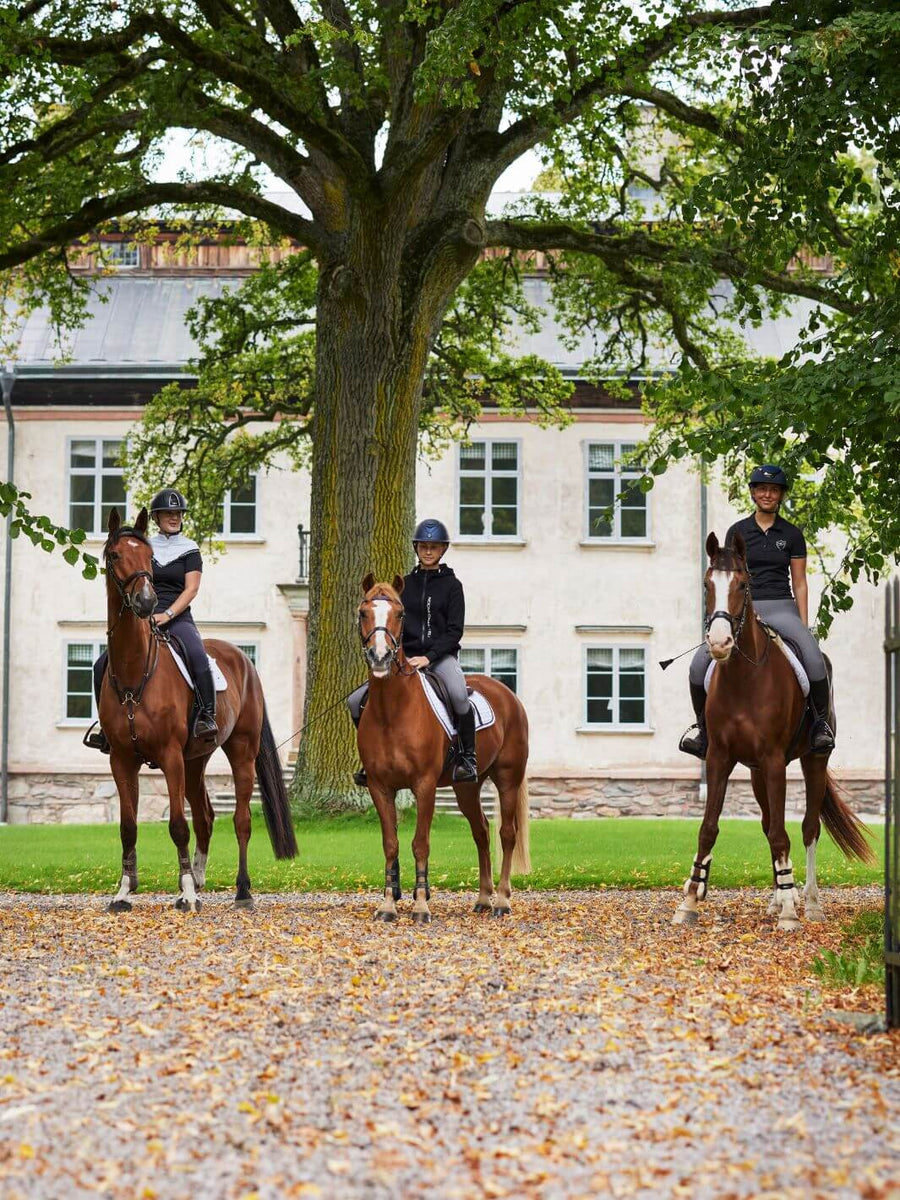 Environmental image three riders wearing Noomi Chantelle riding clothes each on a brown horse at a nice mansion